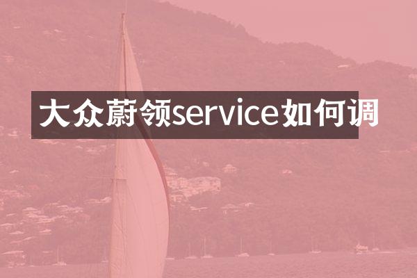 大众蔚领service如何调