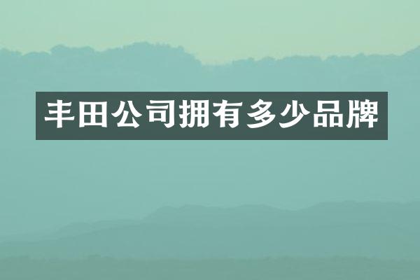 丰田公司拥有多少品牌