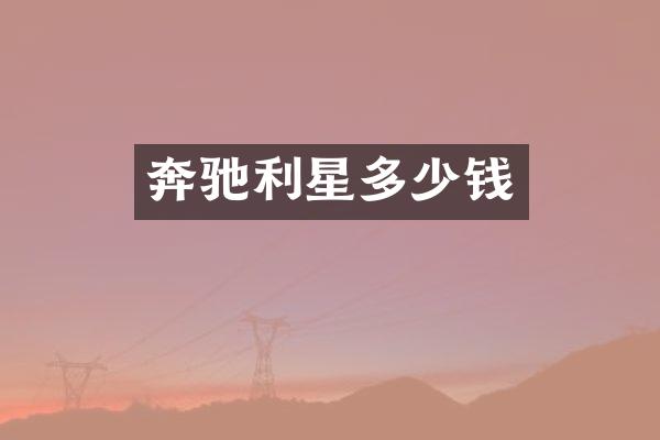 奔驰利星多少钱