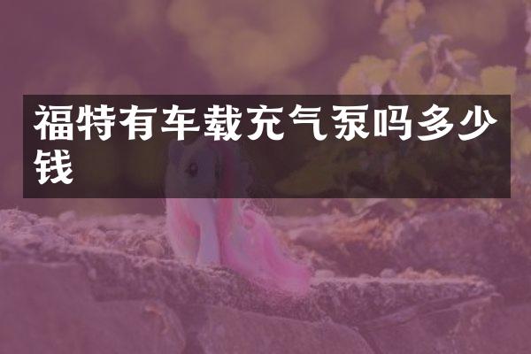福特有车载充气泵吗多少钱