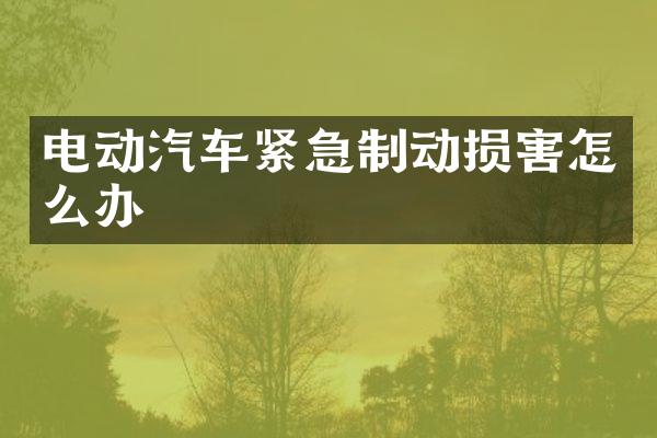 电动汽车紧急制动损害怎么办