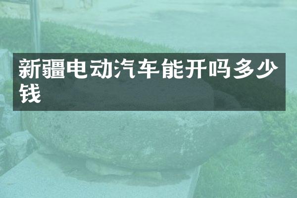 新疆电动汽车能开吗多少钱