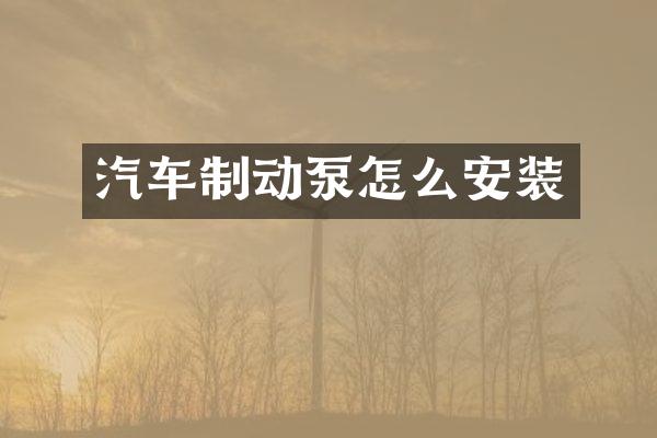 汽车制动泵怎么安装