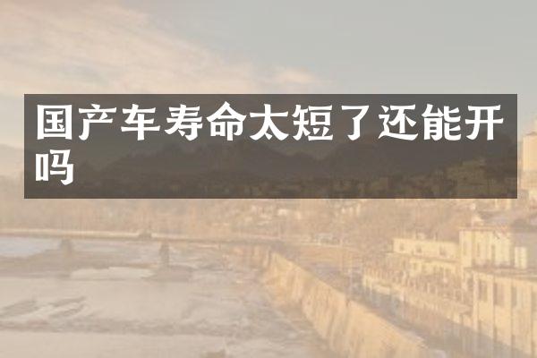 国产车寿命太短了还能开吗