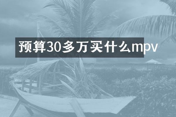 预算30多万买什么mpv