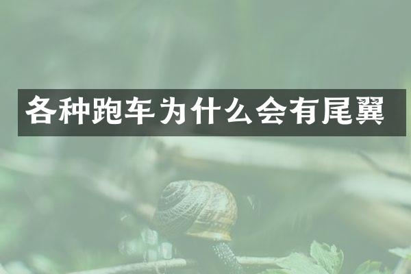 各种跑车为什么会有尾翼