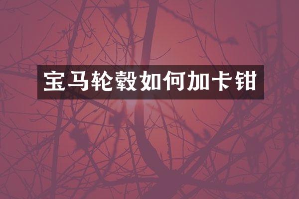 宝马轮毂如何加卡钳