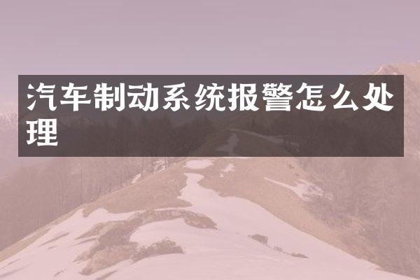 汽车制动系统报警怎么处理