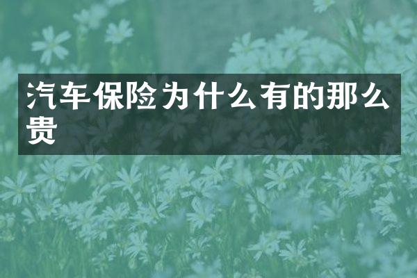 汽车保险为什么有的那么贵
