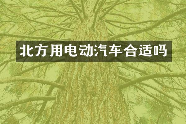 北方用电动汽车合适吗
