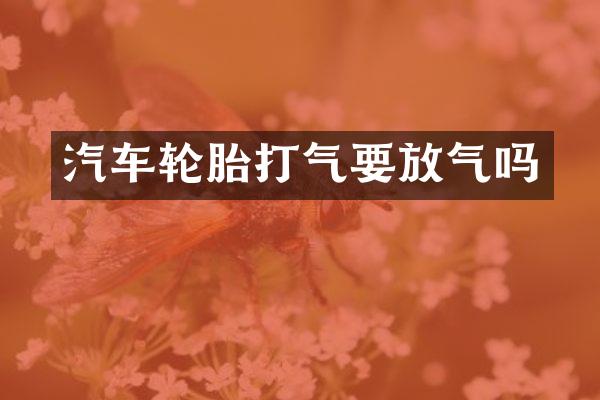 汽车轮胎打气要放气吗