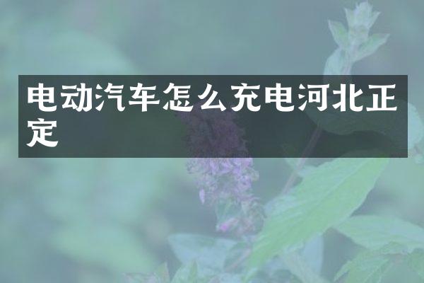 电动汽车怎么充电河北正定