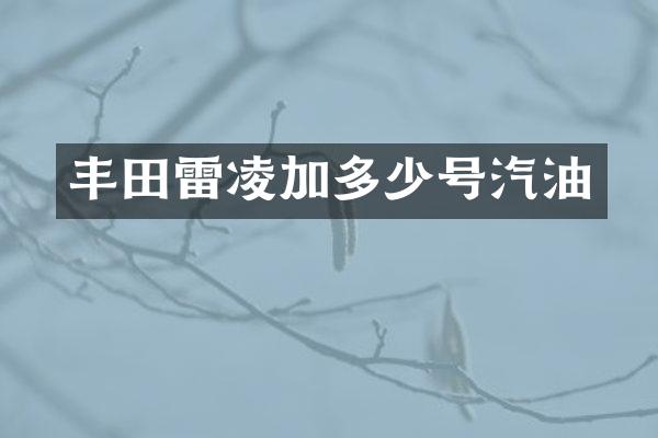 丰田雷凌加多少号汽油