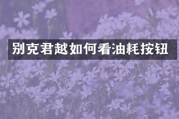 别克君越如何看油耗按钮