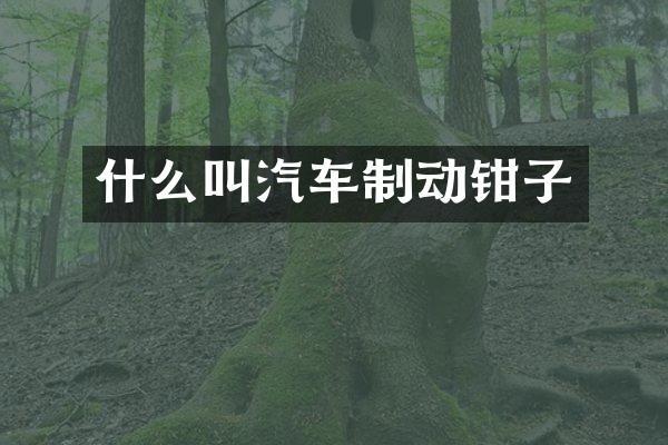 什么叫汽车制动钳子