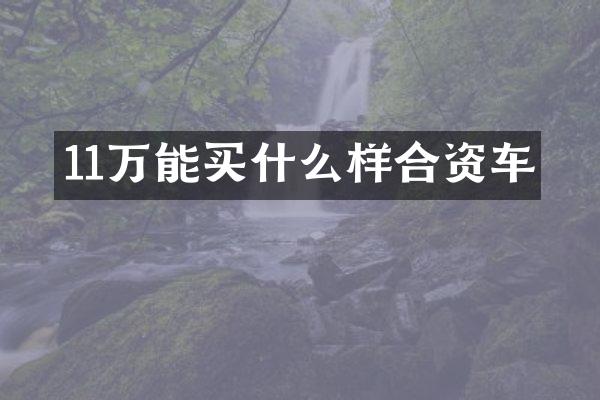 11万能样合资车
