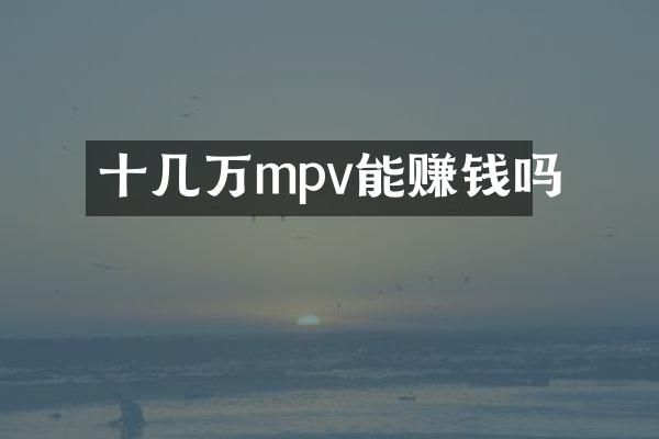 十几万mpv能赚钱吗