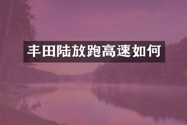 丰田陆放跑高速如何