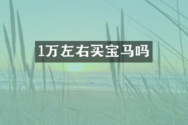 1万左右买宝马吗