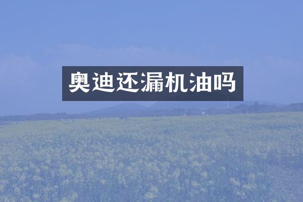 奥迪还漏机油吗
