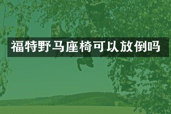 福特野马座椅可以放倒吗