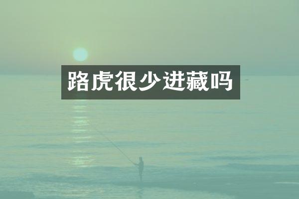 路虎很少进藏吗