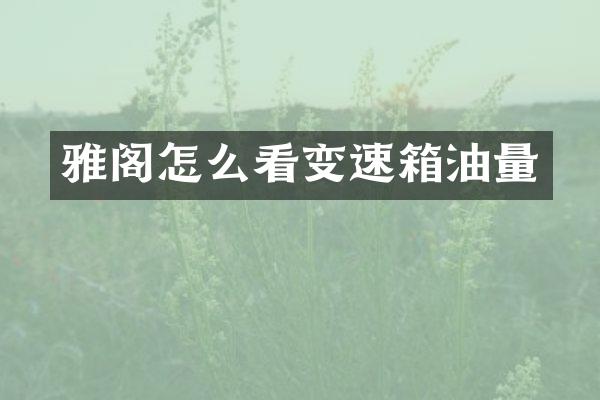 雅阁怎么看变速箱油量