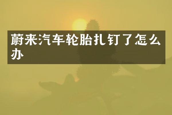蔚来汽车轮胎扎钉了怎么办