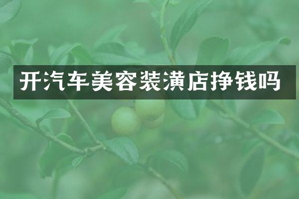 开汽车美容装潢店挣钱吗