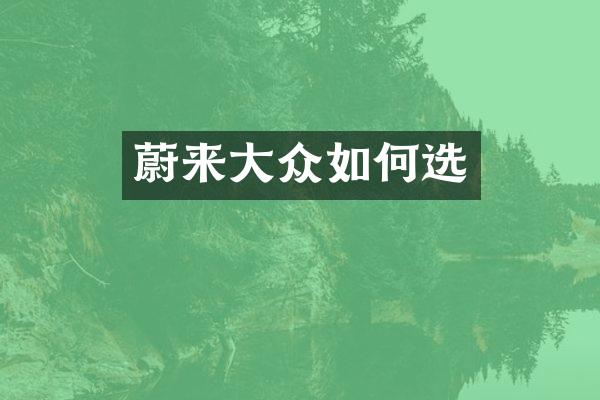 蔚来大众如何选