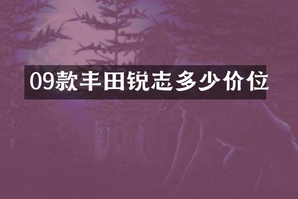 09款丰田锐志多少价位
