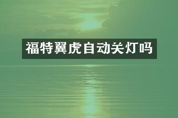 福特翼虎自动关灯吗