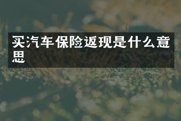 买汽车保险返现是什么意思