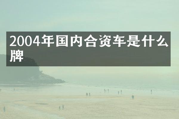 2004年国内合资车是什么品牌