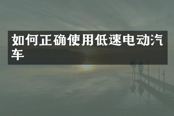 如何正确使用低速电动汽车