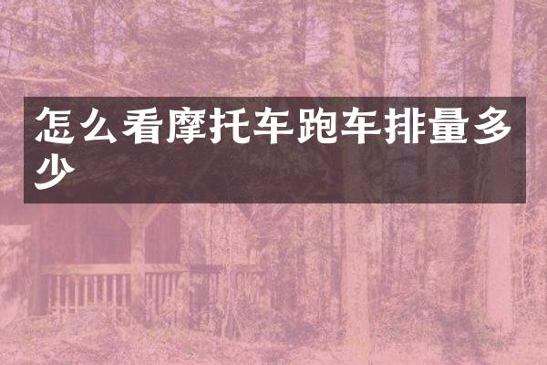怎么看摩托车跑车排量多少