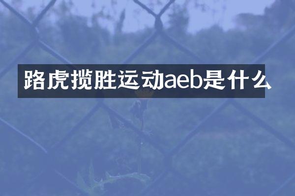 路虎揽胜运动aeb是什么