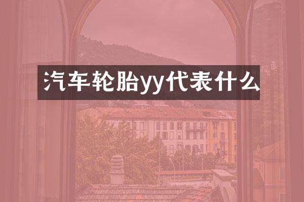 汽车轮胎yy代表什么