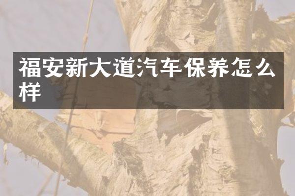 福安新大道汽车保养怎么样