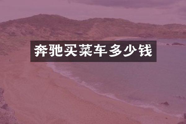 奔驰买菜车多少钱