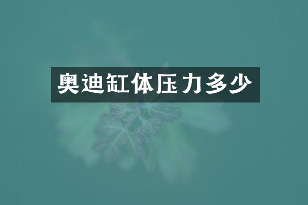 奥迪缸体压力多少