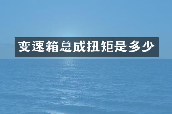 变速箱总成扭矩是多少