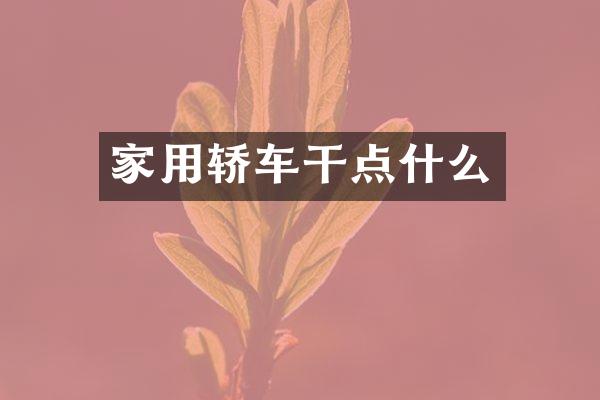家用轿车干点什么