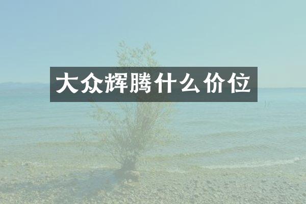 大众辉腾什么价位