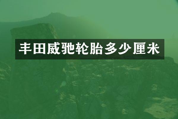 丰田威驰轮胎多少厘米