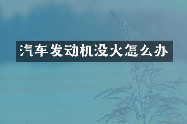 汽车发动机没火怎么办