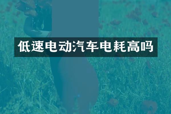 低速电动汽车电耗高吗