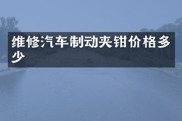 维修汽车制动夹钳价格多少