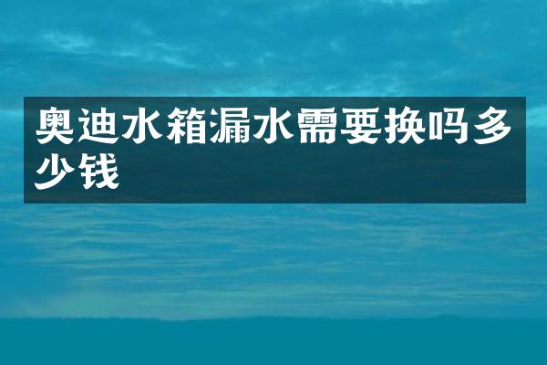 奥迪水箱漏水需要换吗多少钱