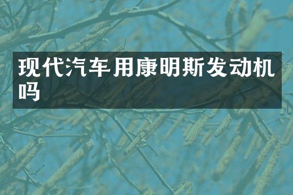 现代汽车用康明斯发动机吗